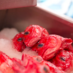 Screen-Shot-2024-04-22-at-2.31.02-AM-300x300