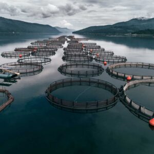 Acuicultura Controlada: El Futuro Sostenible de la Producción de Mariscos y Pescados